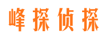 尼勒克找人公司